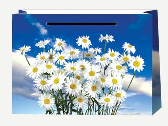 Подарочный пакет Ромашка 