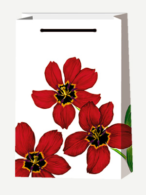 Подарочный пакет Красные цветы