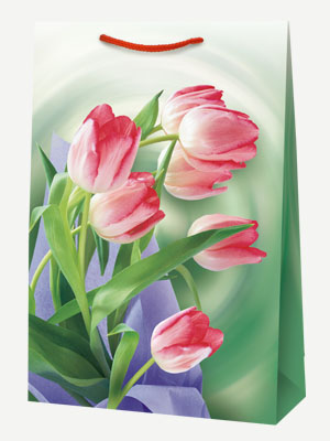 Подарочный пакет Тюльпаны